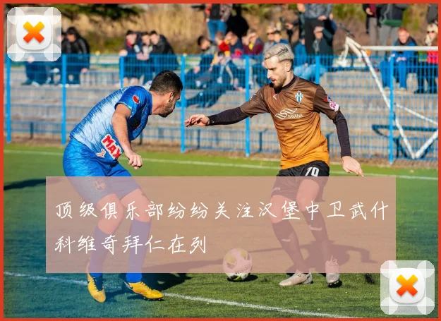 顶级俱乐部纷纷关注汉堡中卫武什科维奇拜仁在列