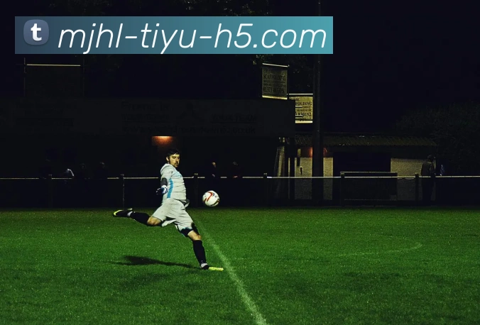 多媒体互动体验